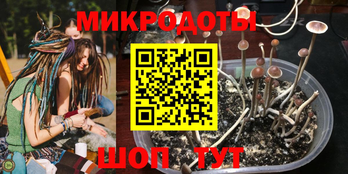 Галлюциногенные грибы MAGIC MUSHROOMS Иваново