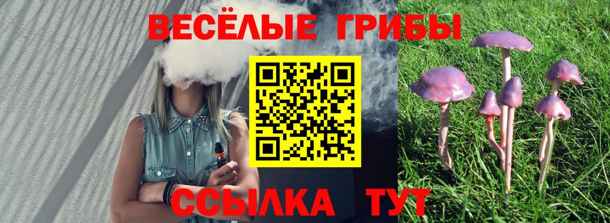 Псилоцибиновые грибы GOLDEN TEACHER  Галлюциногенные грибы мухоморы  Иваново  Вход с VPN 